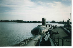 7025.jpg