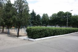 IMG_5184__small.JPG