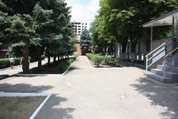 IMG_5254__small.JPG