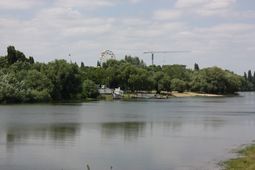 IMG_5302__small.JPG