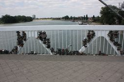 IMG_5330__small.JPG